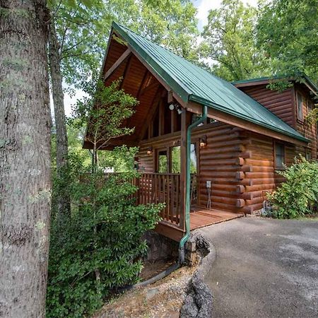Cubs Cove Villa Gatlinburg Dış mekan fotoğraf