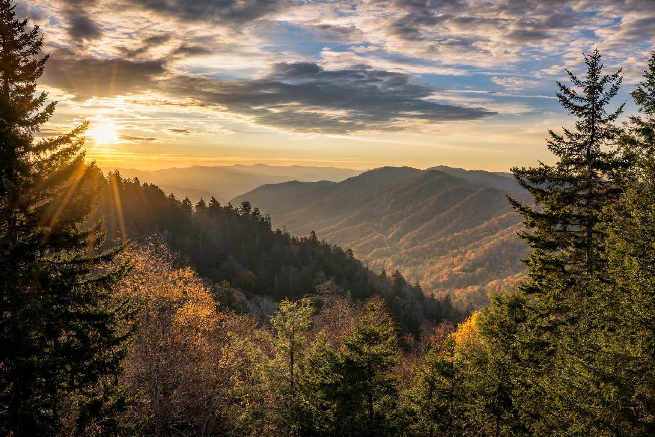 Cubs Cove Villa Gatlinburg Dış mekan fotoğraf