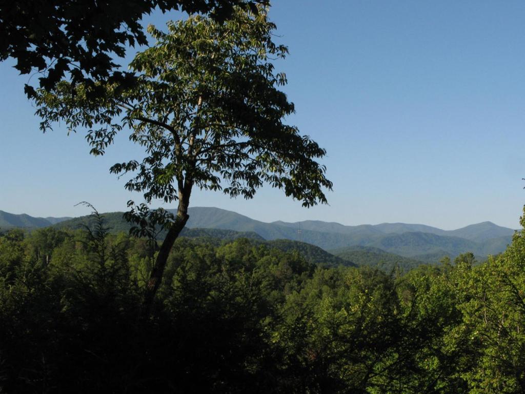 Cubs Cove Villa Gatlinburg Dış mekan fotoğraf