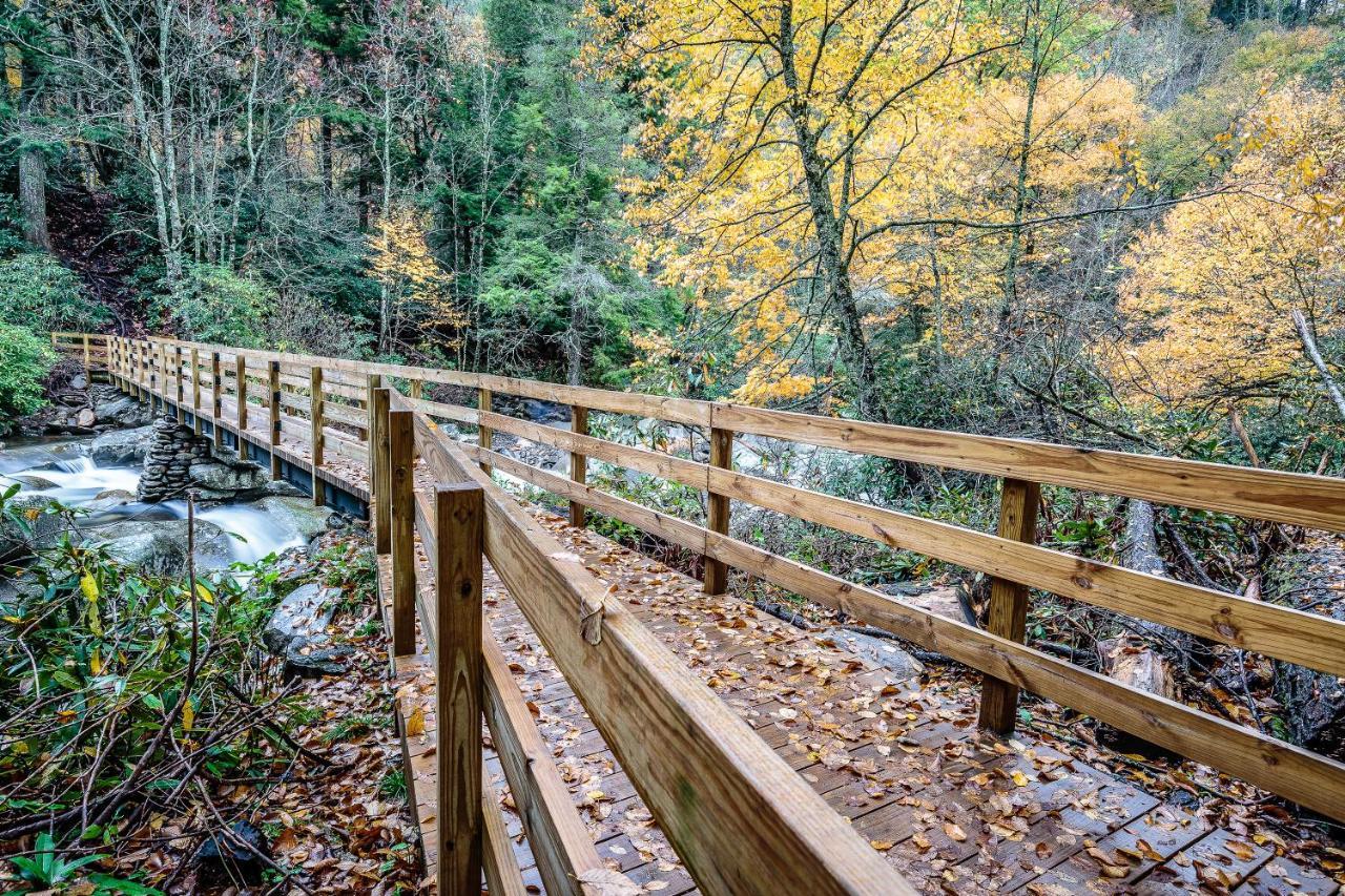 Cubs Cove Villa Gatlinburg Dış mekan fotoğraf